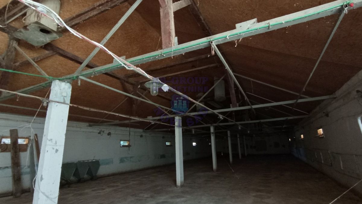 kuca na prodaju Đurđevo 257m2 478809