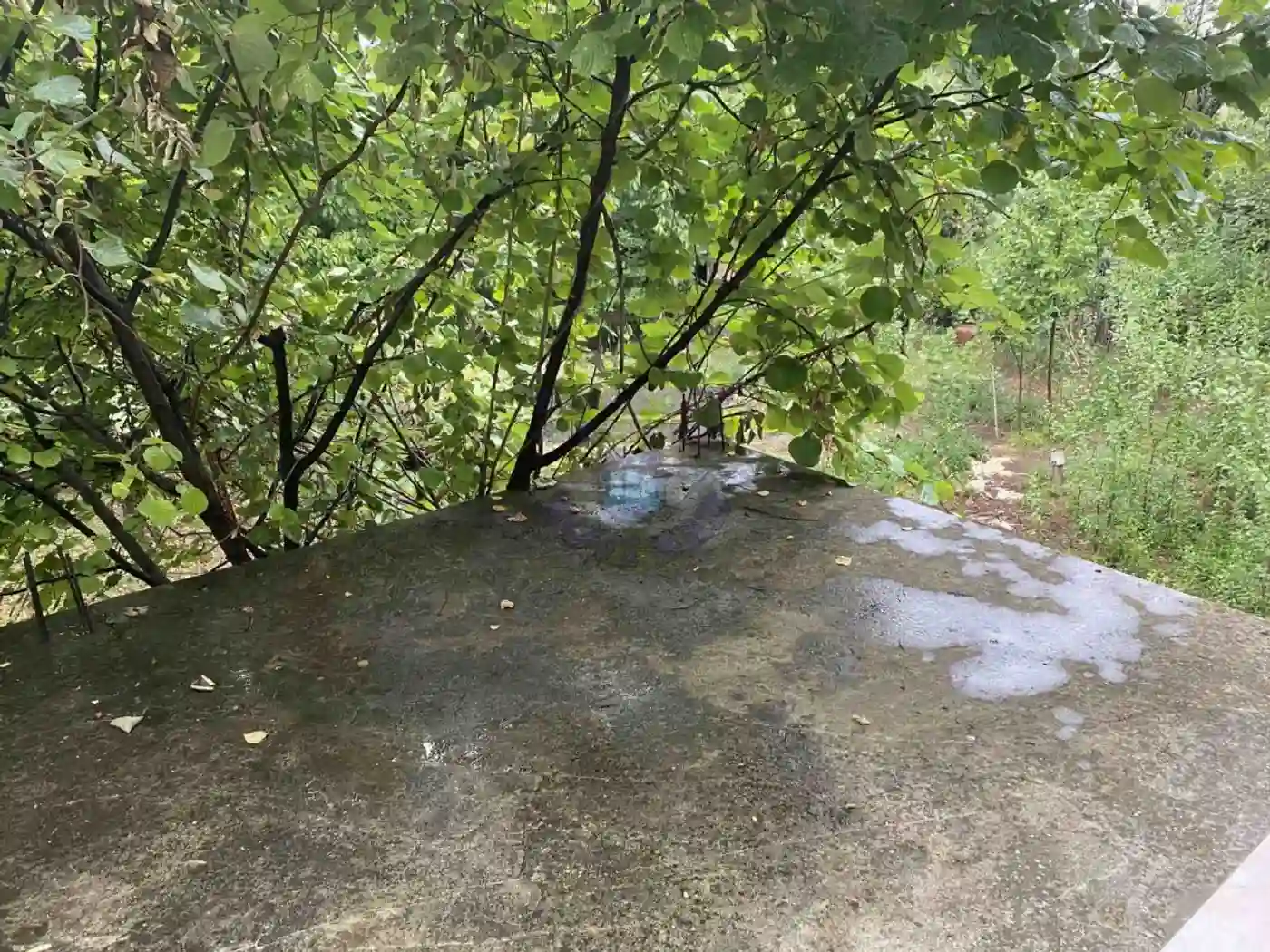 kuca na prodaju Sremska Kamenica 275m2 479042