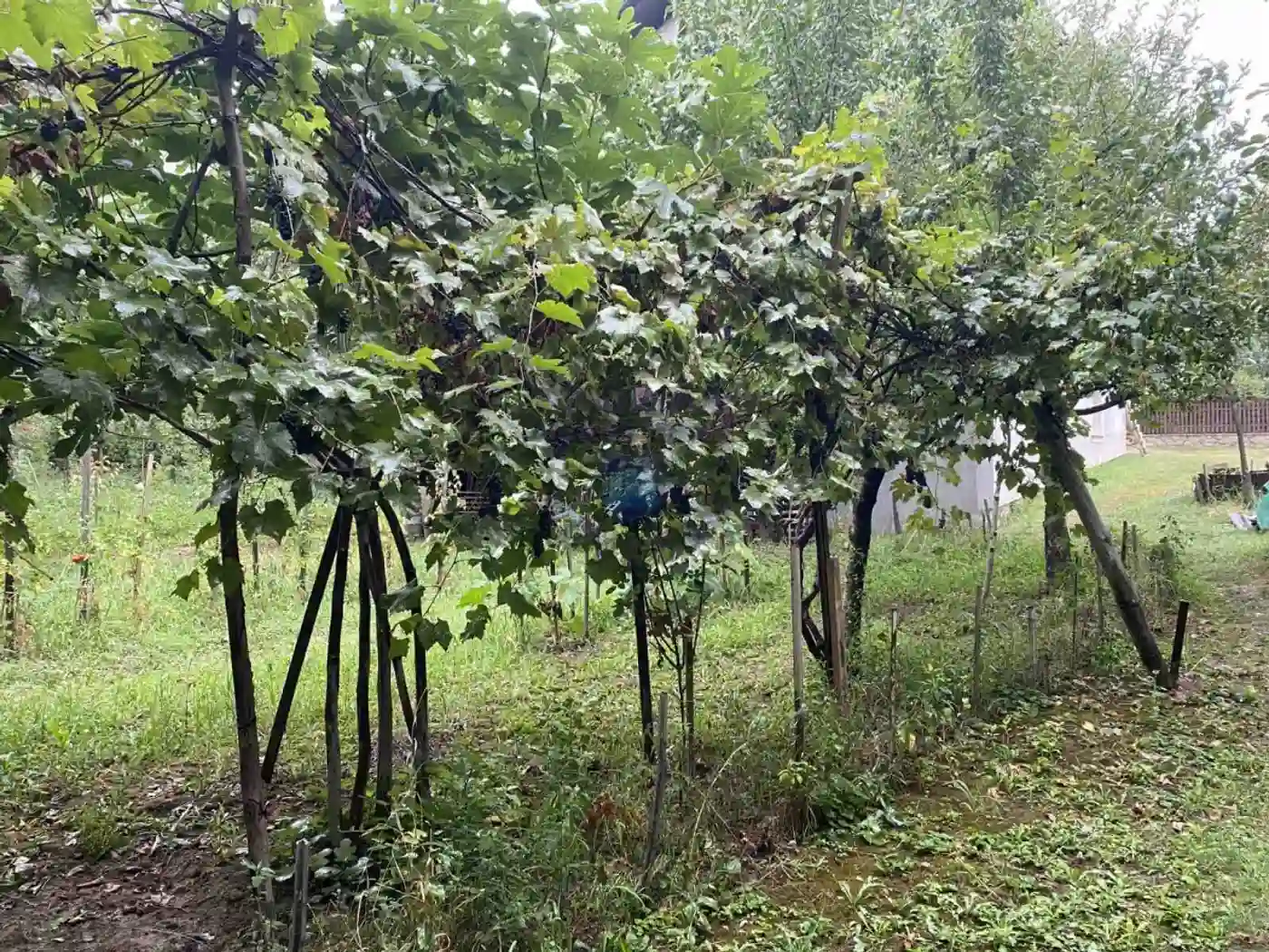 kuca na prodaju Sremska Kamenica 275m2 479042