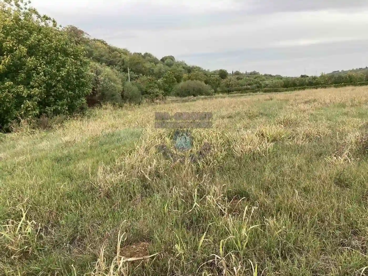 plac na prodaju Sremski Karlovci 2320m2 479781