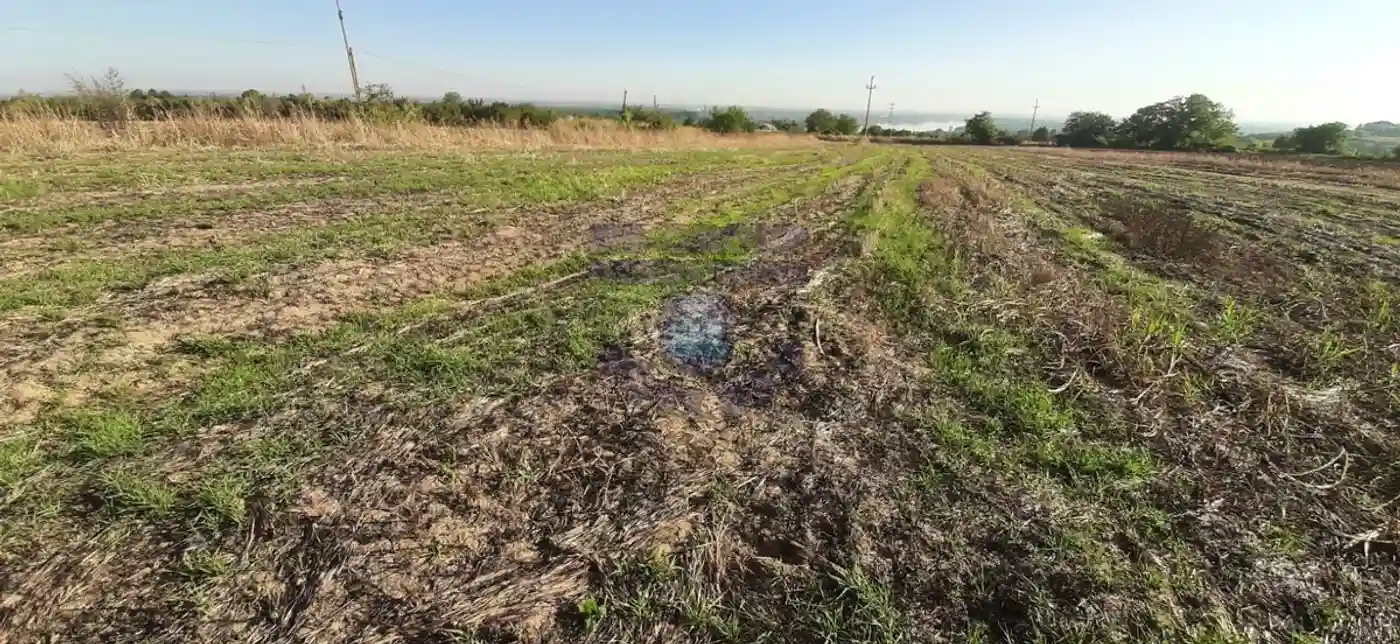 plac na prodaju Čerević 8110m2 480819