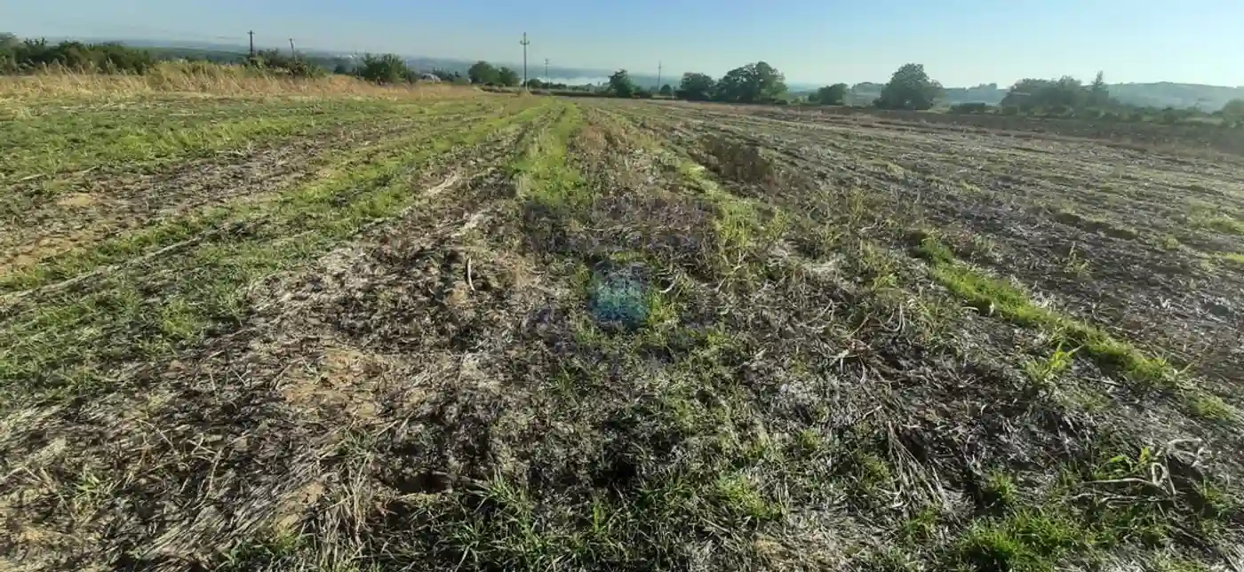 plac na prodaju Čerević 8110m2 480819