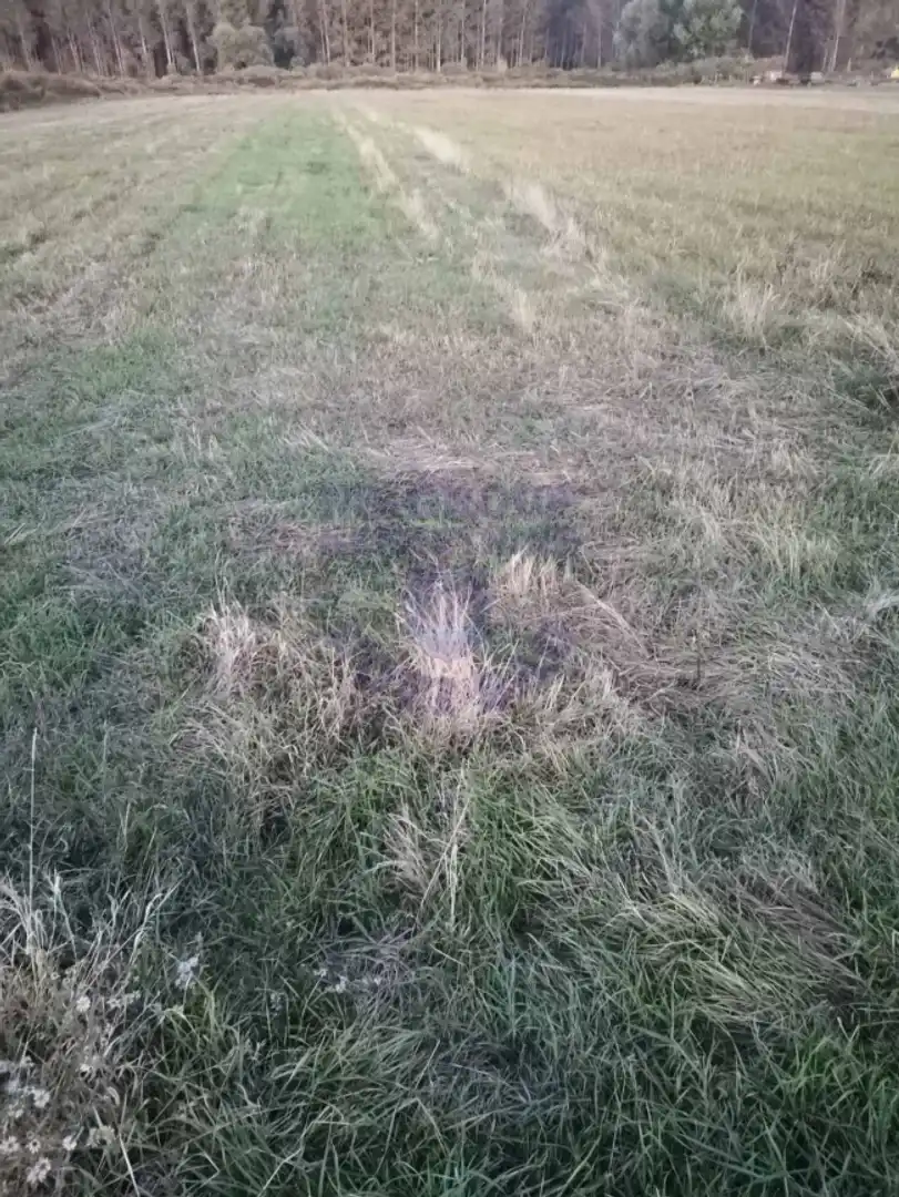 plac na prodaju Petrovaradin, 5841m2 480820