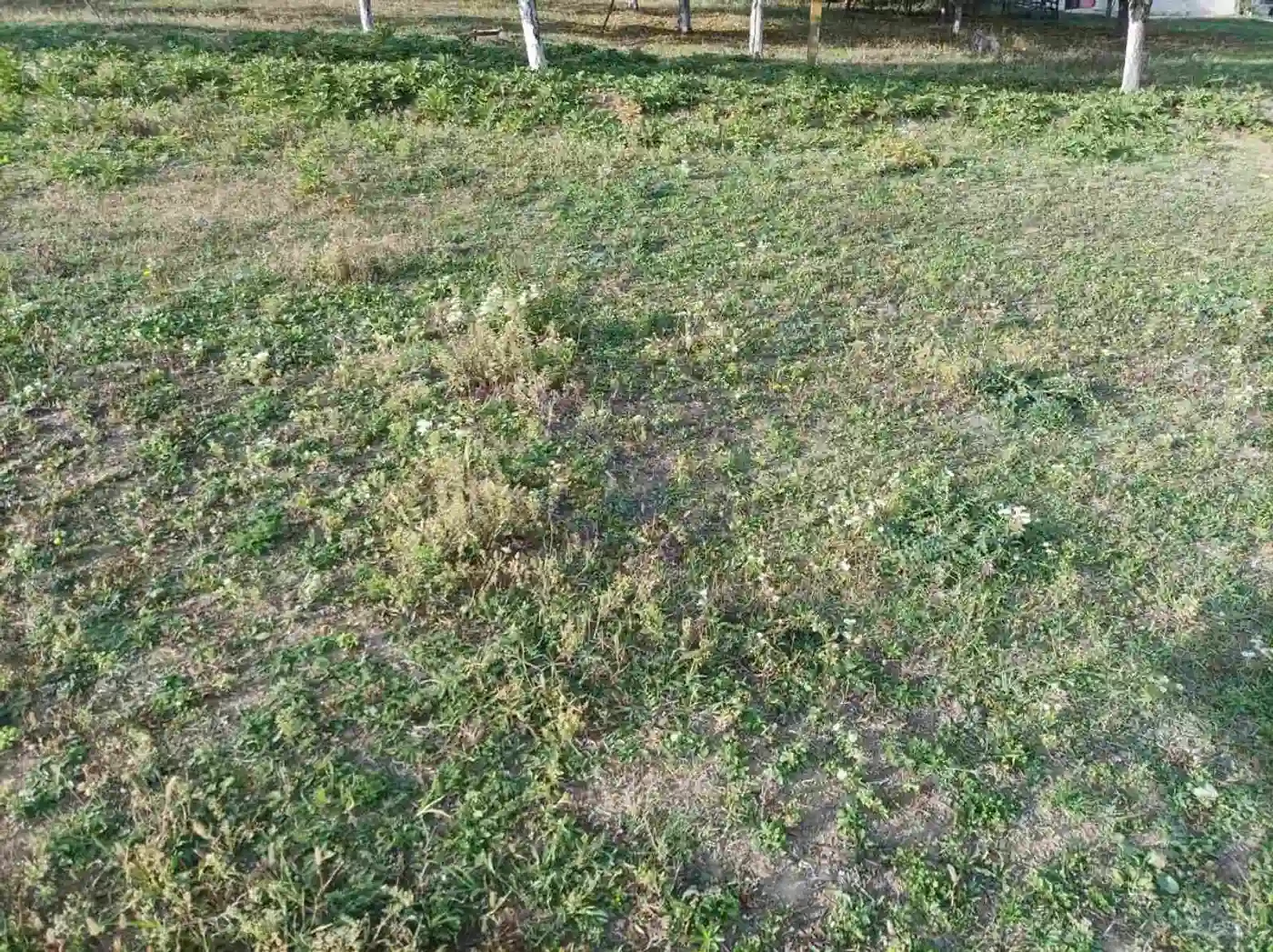 plac na prodaju Sremski Karlovci, 4500m2 481536