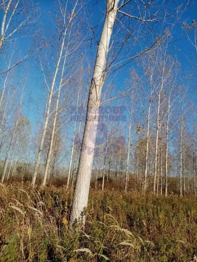 plac na prodaju Kovilj 44737m2 481760