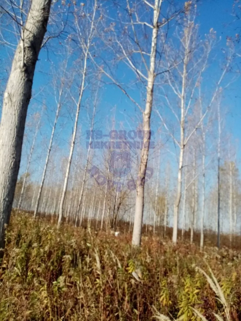 plac na prodaju Kovilj 44737m2 481760