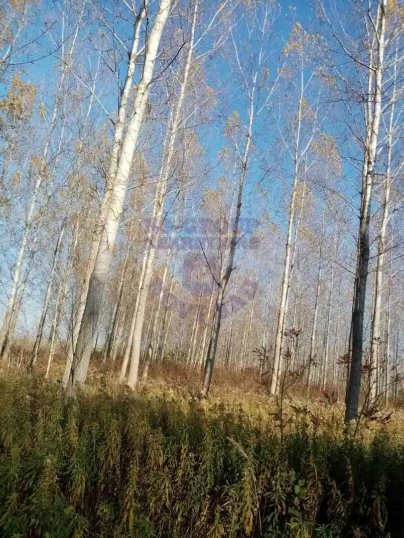 plac na prodaju Kovilj 44737m2 481760