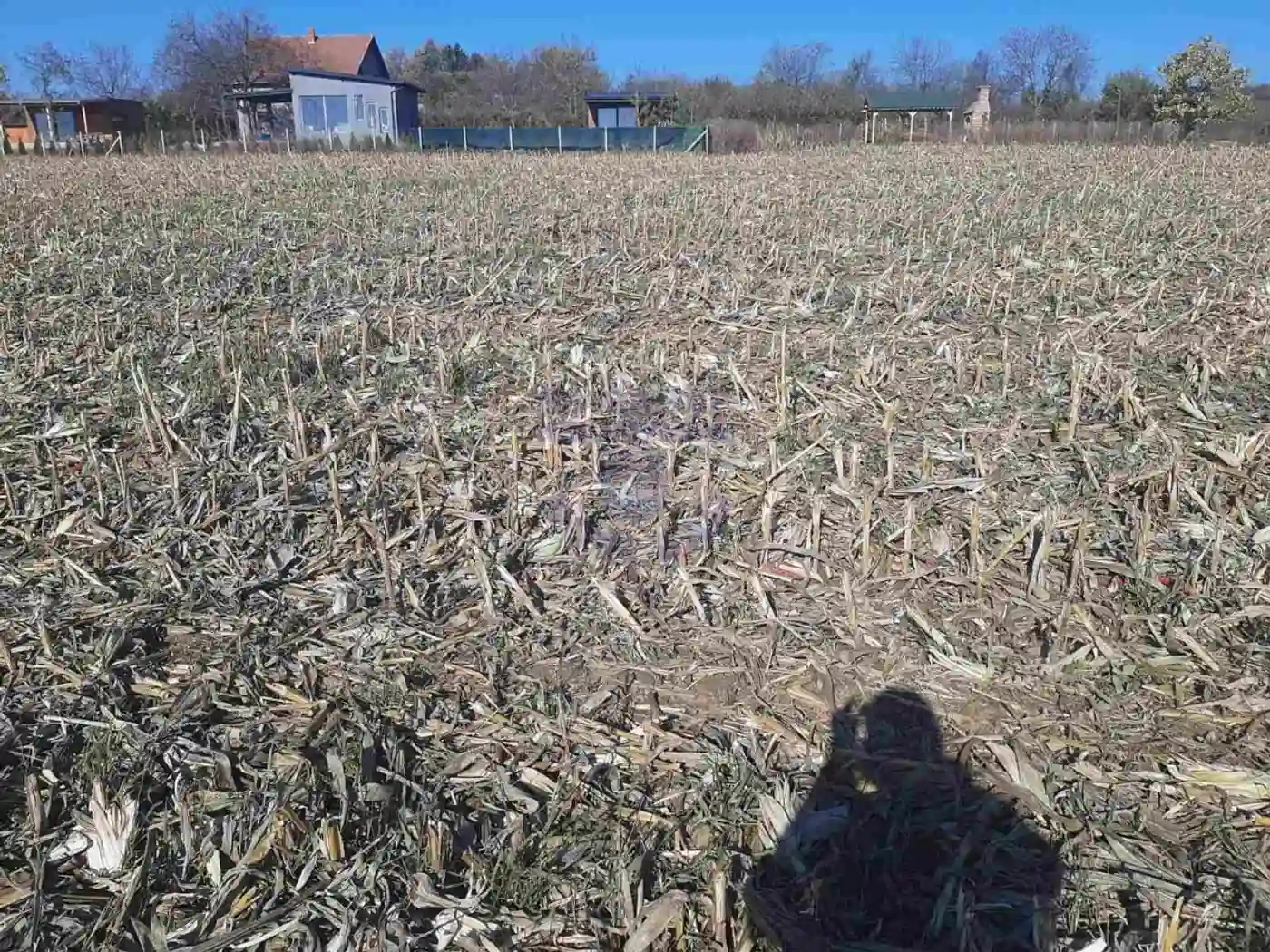 plac na prodaju Bačka Palanka, 12975m2 485010