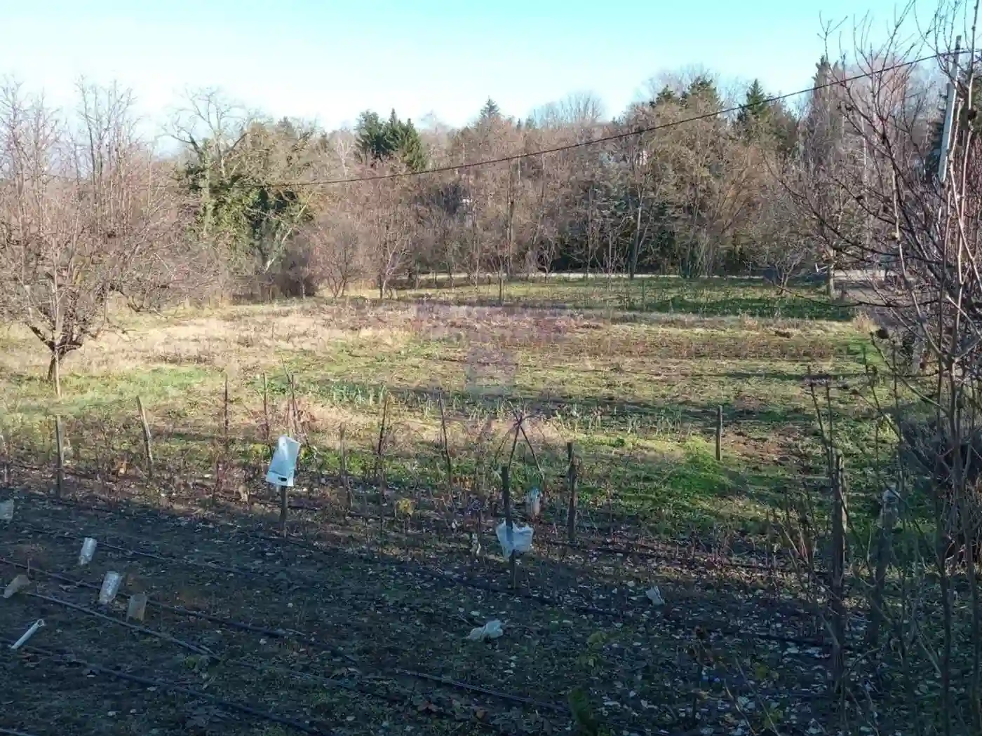 kuca na prodaju Petrovaradin 111m2 485776