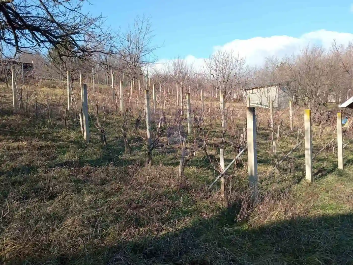 kuca na prodaju Petrovaradin 111m2 485776