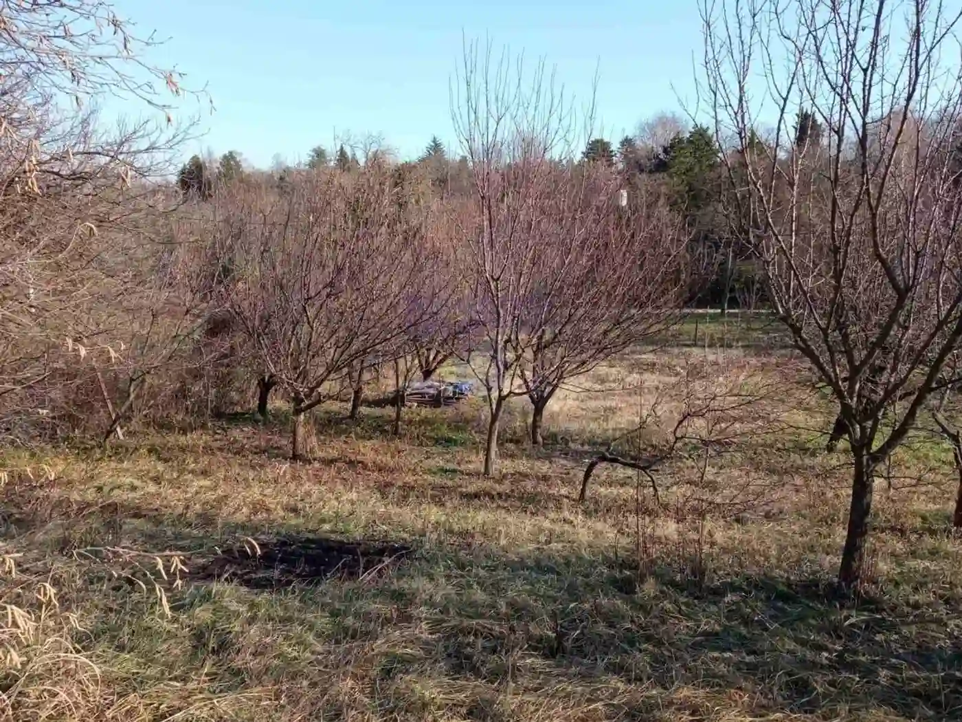 kuca na prodaju Petrovaradin 111m2 485776