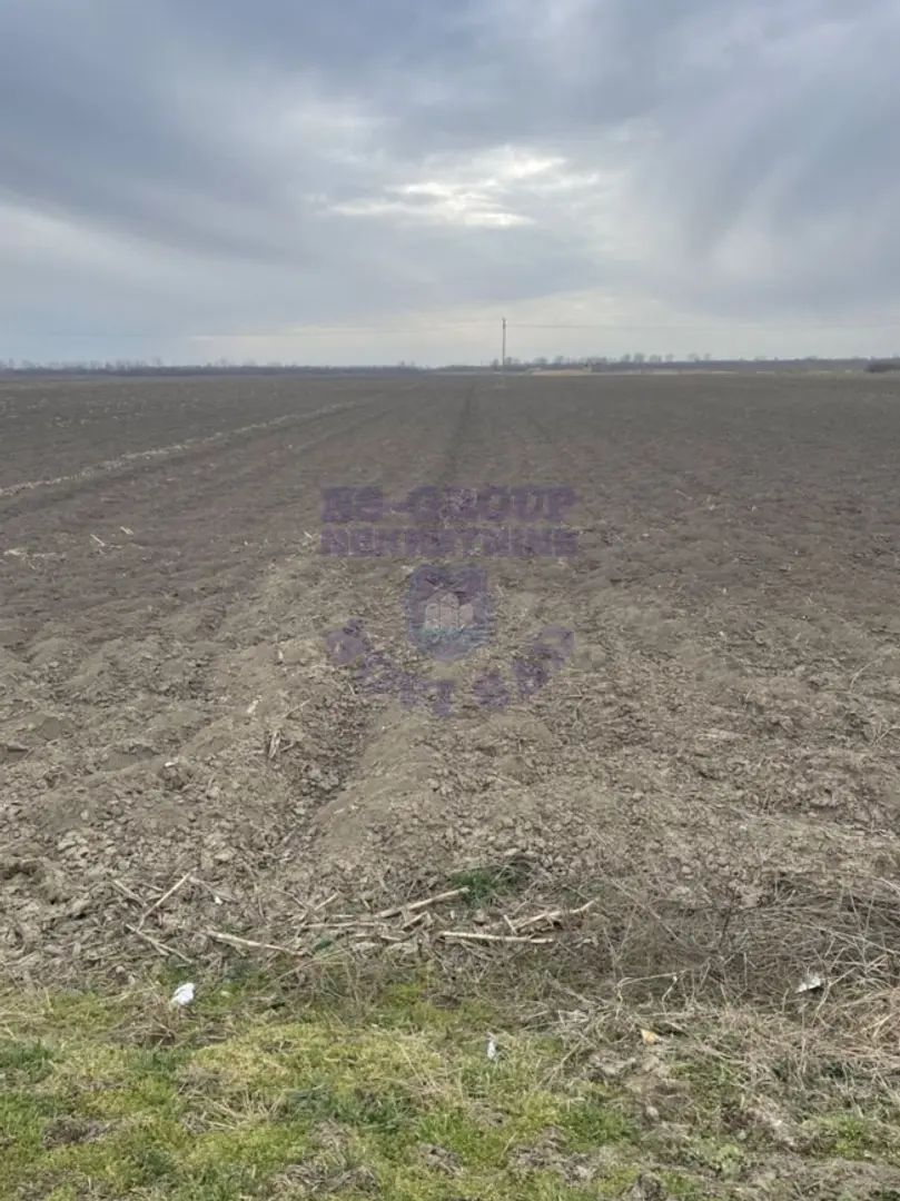 plac na prodaju Rumenka, 5687m2 486420