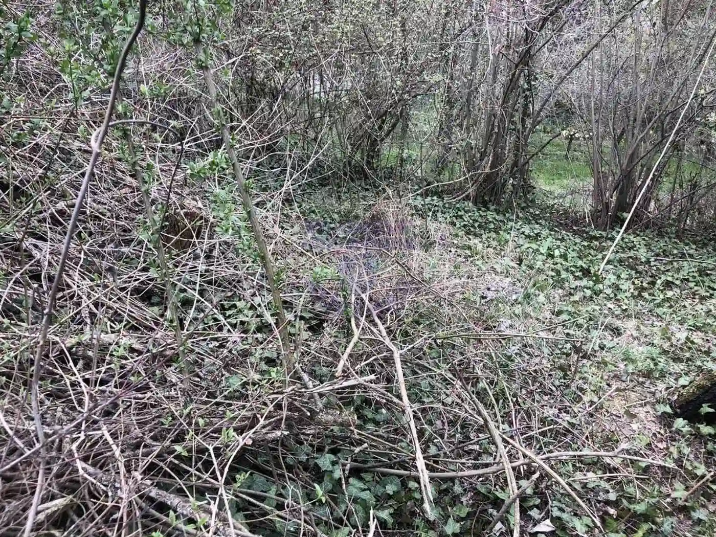 plac na prodaju Petrovaradin, 725m2 488601