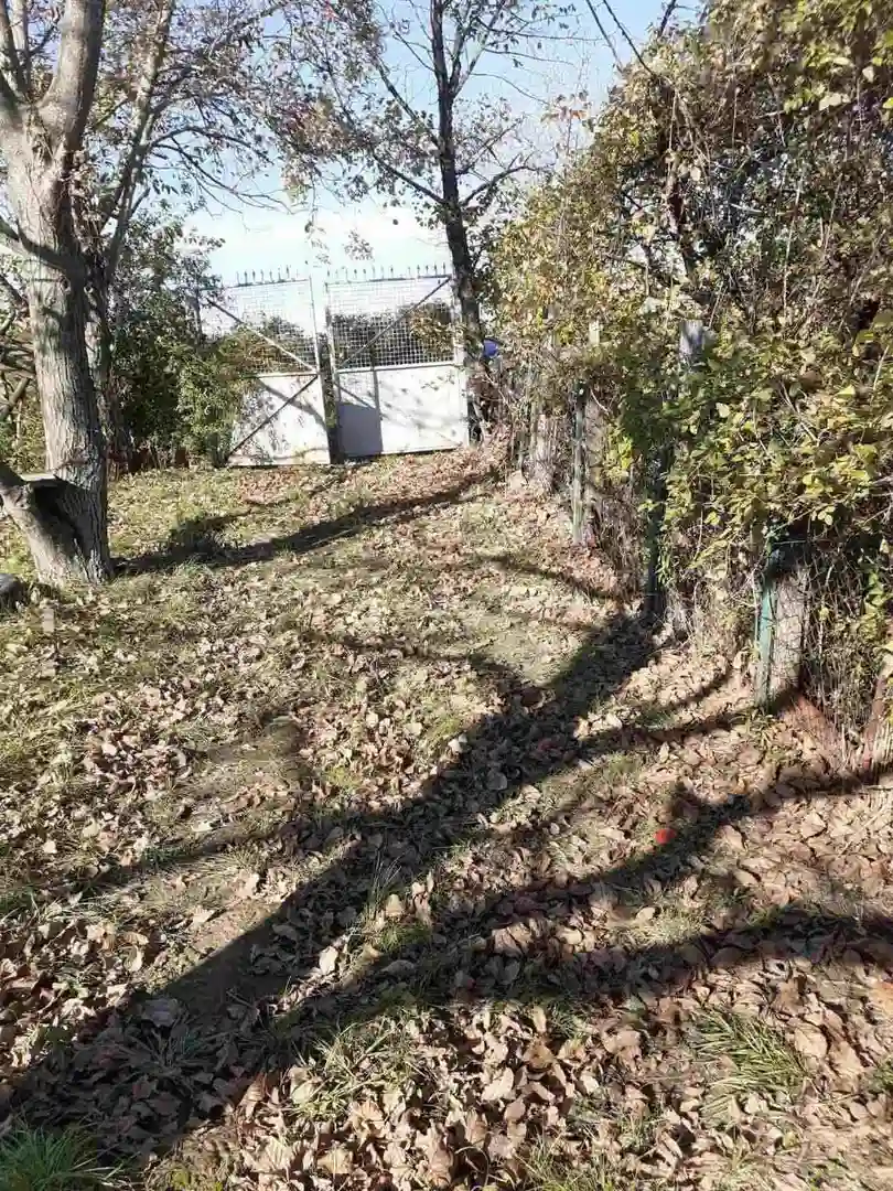 plac na prodaju Čerević 2926m2 488853