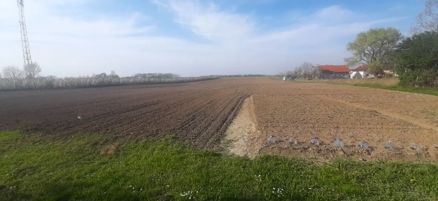 plac na prodaju Begeč, 3184m2 489424