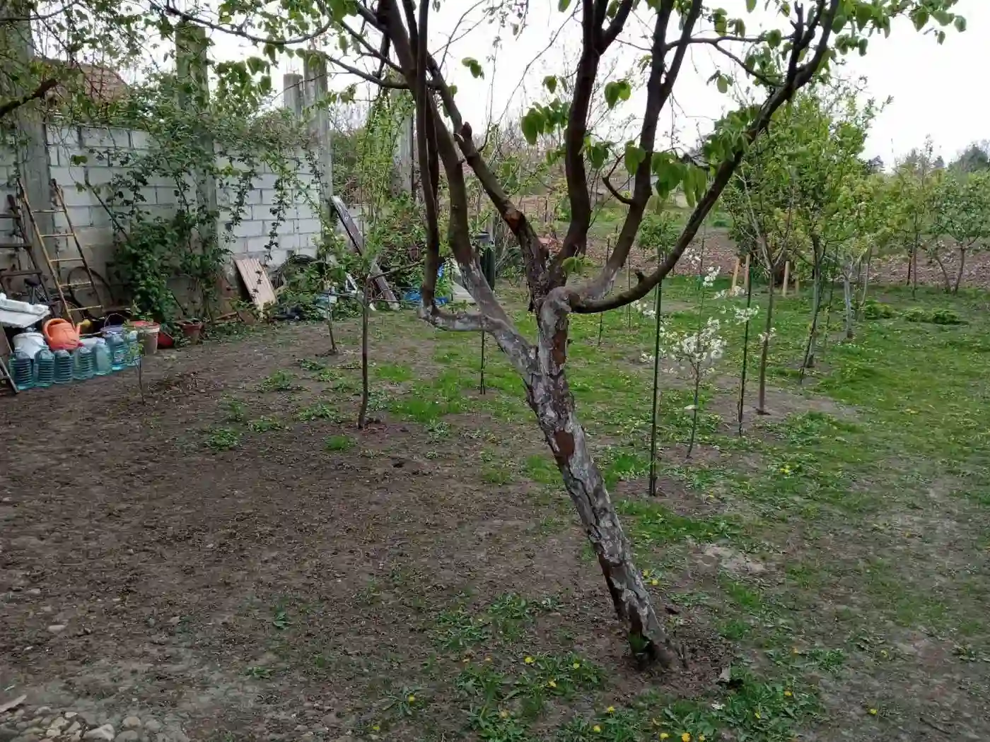 kuca na prodaju Žabalj 130m2 489582