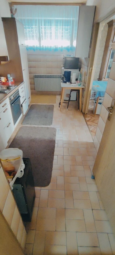 kuca na prodaju Sremska Kamenica 209m2 490874