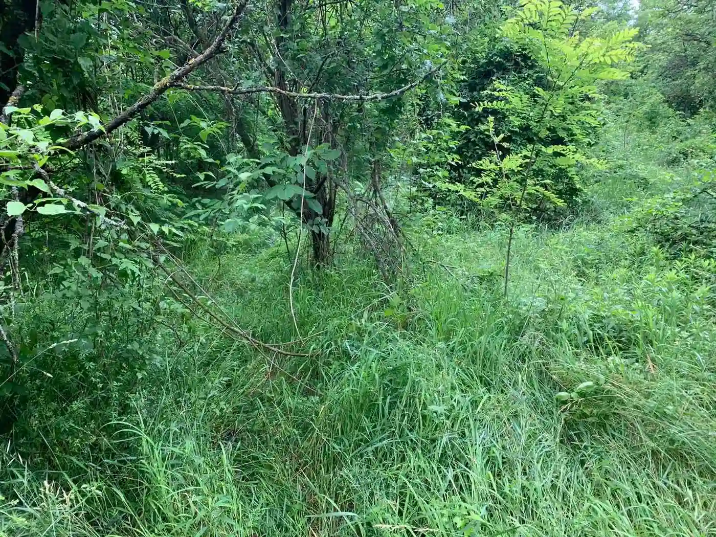 plac na prodaju Ledinci 2956m2 422840