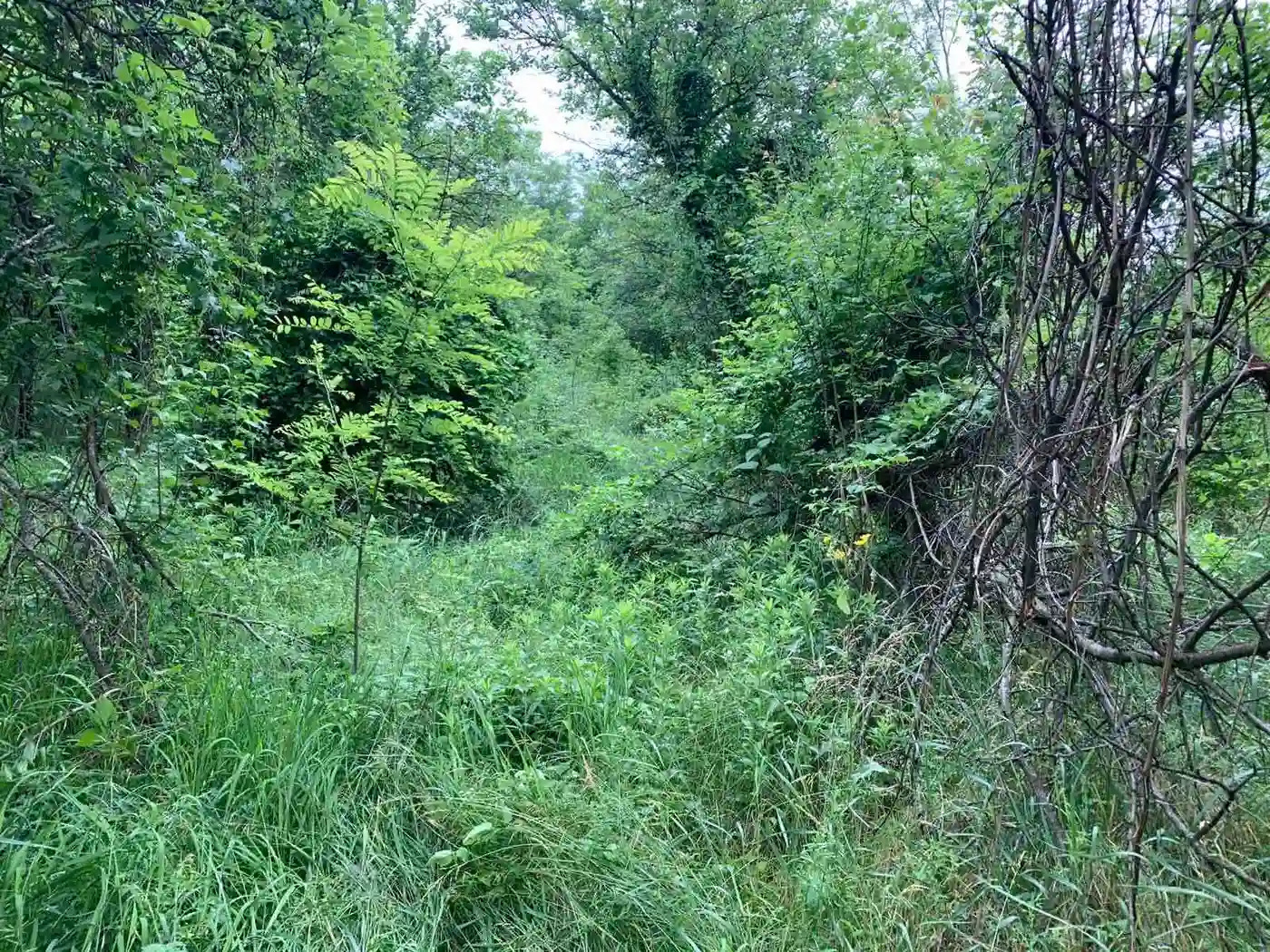 plac na prodaju Ledinci 2956m2 422840