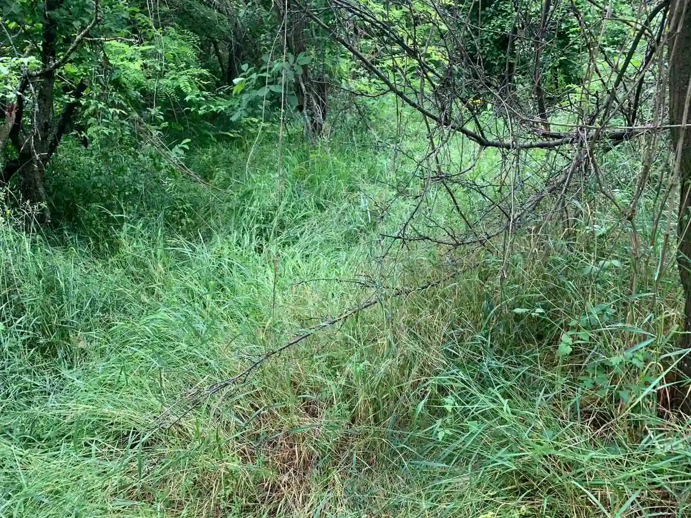 plac na prodaju Ledinci 2956m2 422840