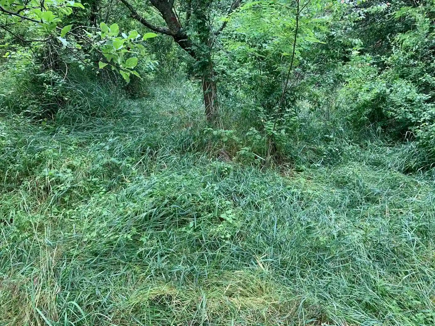 plac na prodaju Ledinci, 2956m2 422840