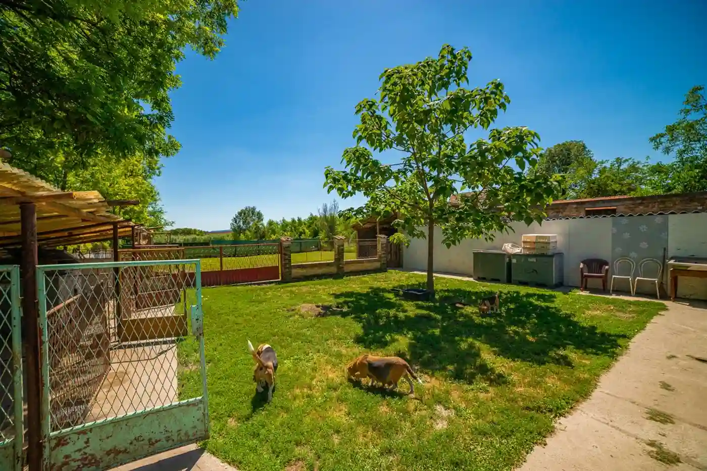 kuca na prodaju Srbobran 190m2 490929