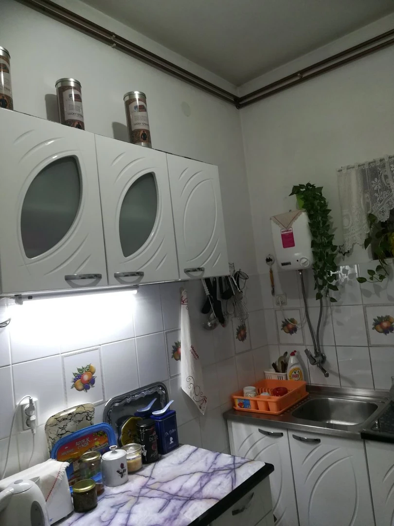 kuca na prodaju Petrovaradin 403m2 493452