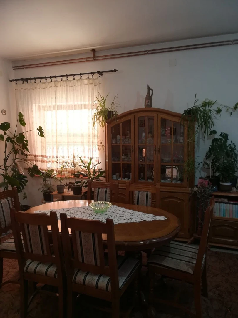 kuca na prodaju Petrovaradin 403m2 493452