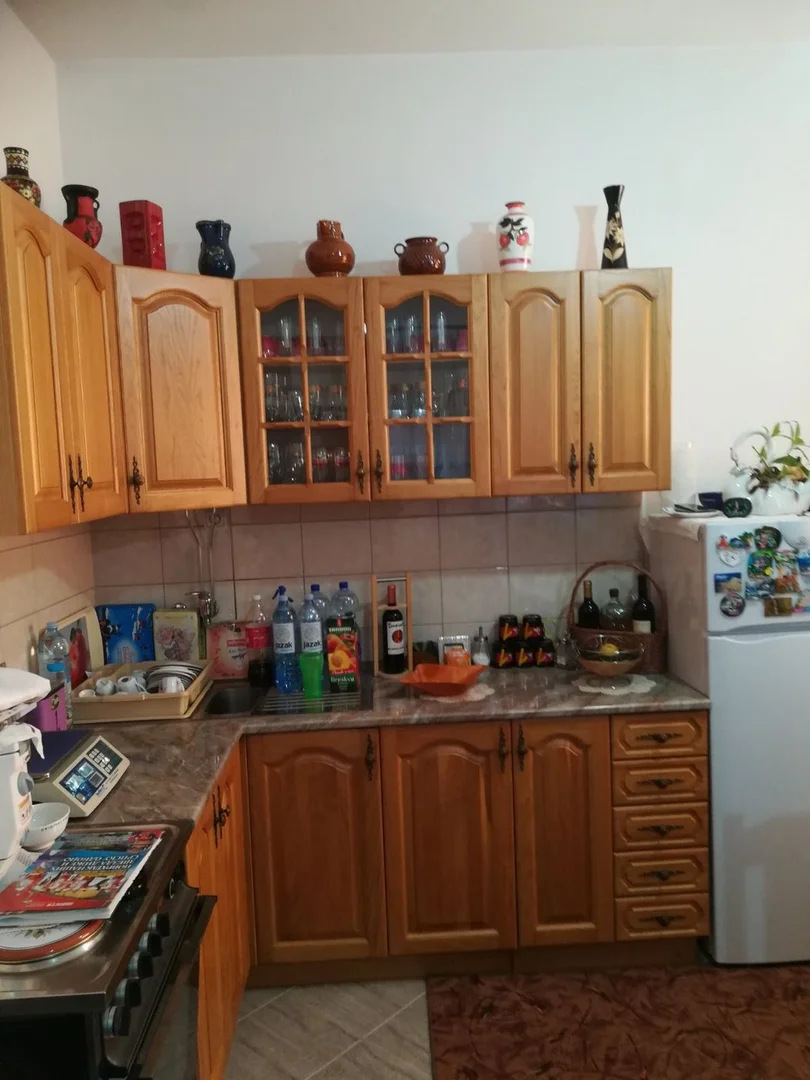 kuca na prodaju Petrovaradin 403m2 493452