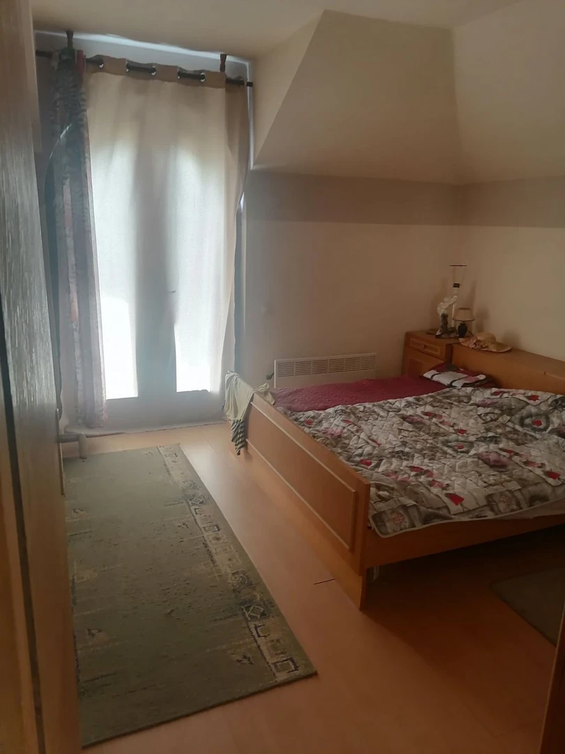 kuca na prodaju Novi Sad 508m2 494595
