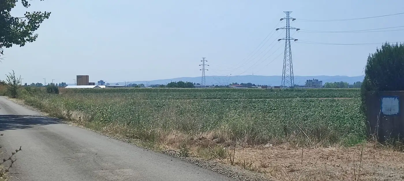 plac na prodaju Novi Sad 6393m2 494744