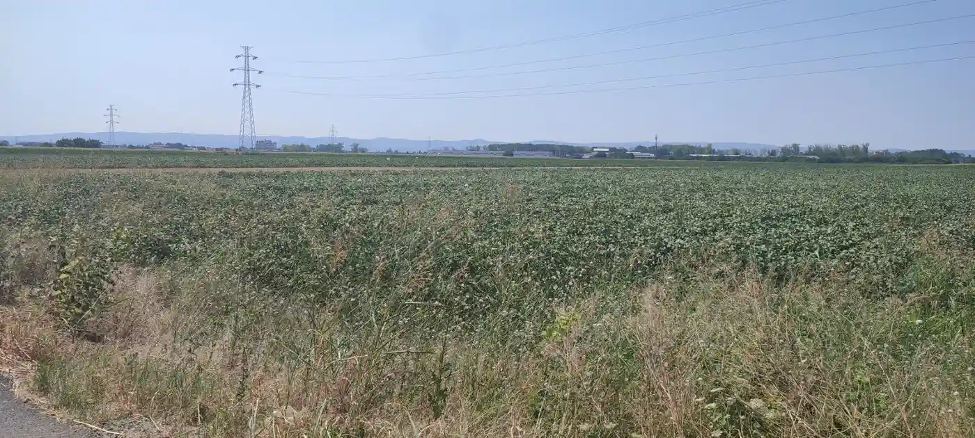 plac na prodaju Novi Sad, 6393m2 494744