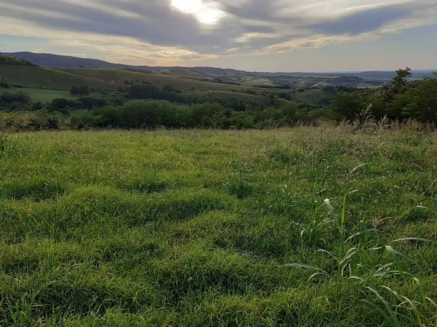 plac na prodaju Sremski Karlovci, 4447m2 494813