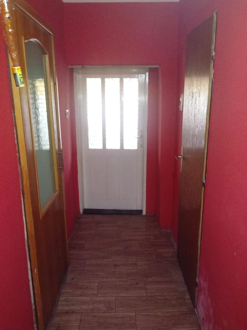 kuca na prodaju Čurug 113m2 494858