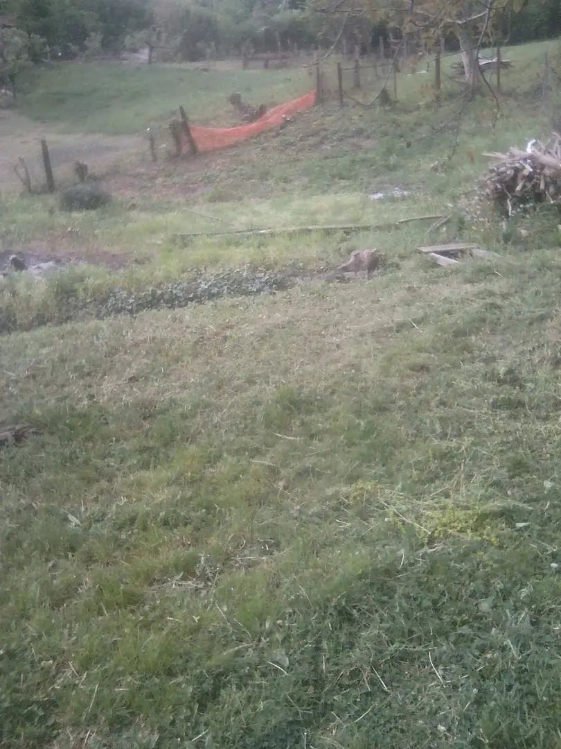 plac na prodaju Sremski Karlovci, 1863m2 495044