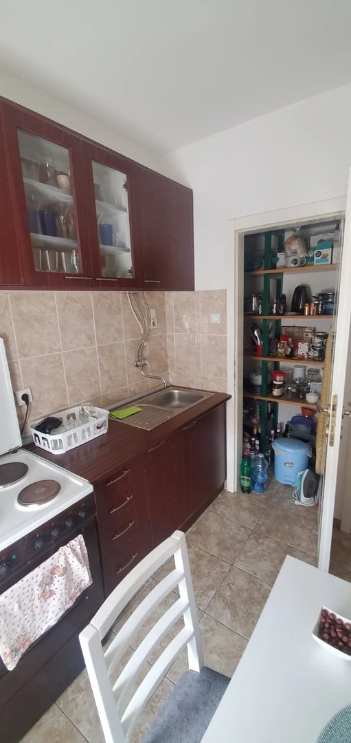 stan na prodaju Novi Sad 60m2 495402