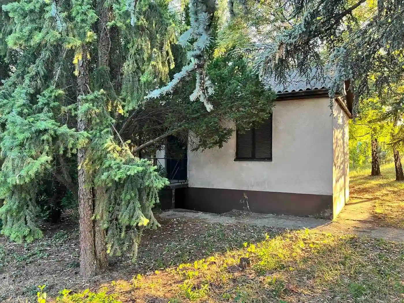 kuca na prodaju Čortanovci, 20m2 495626