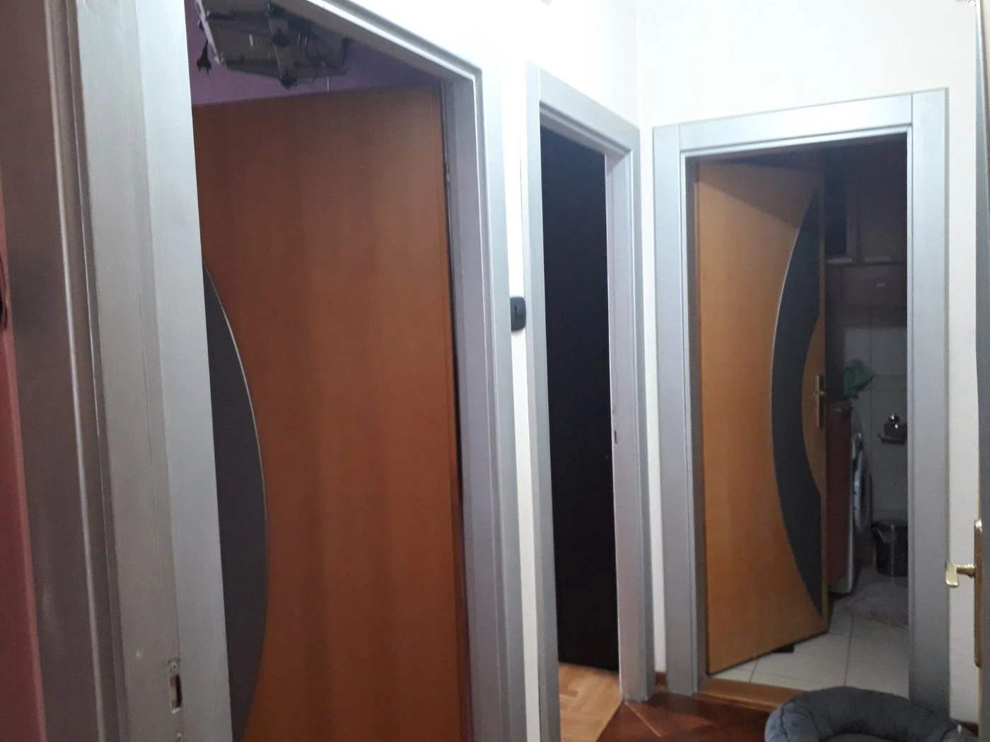 stan na prodaju Novi Sad 103m2 496338