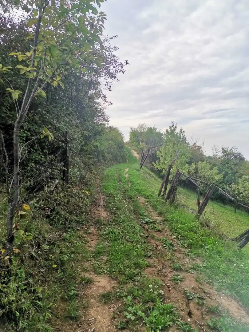 plac na prodaju Sremski Karlovci 2501m2 496508