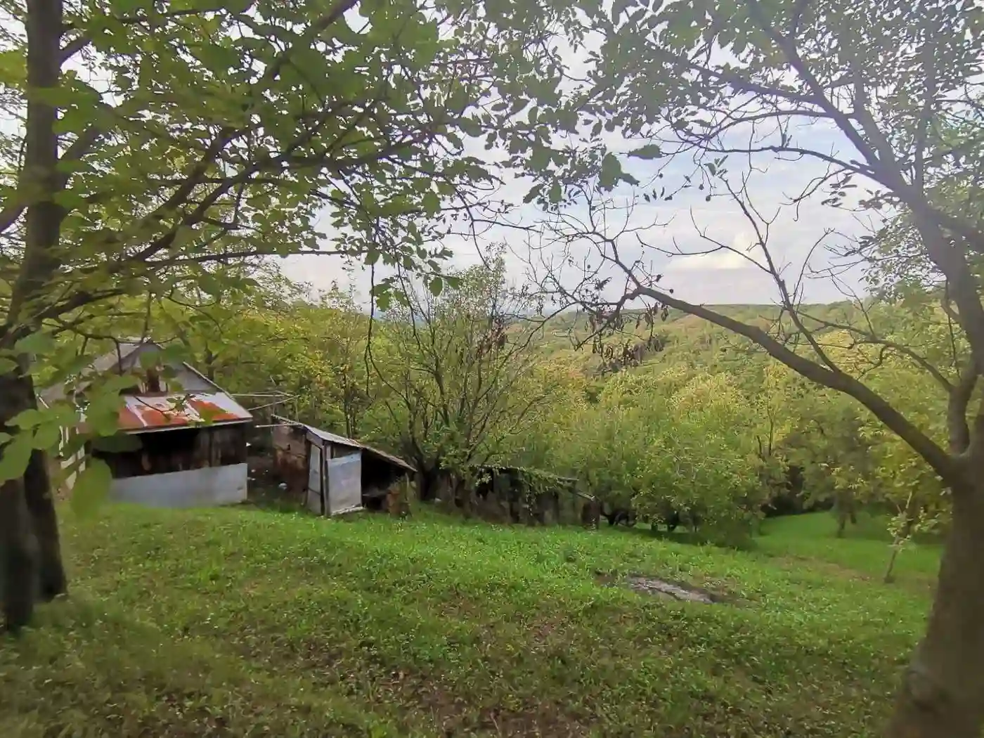 plac na prodaju Sremski Karlovci 2501m2 496508