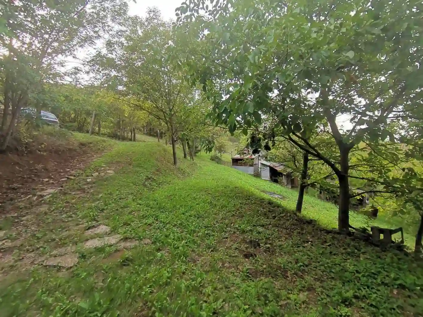 plac na prodaju Sremski Karlovci 2501m2 496508