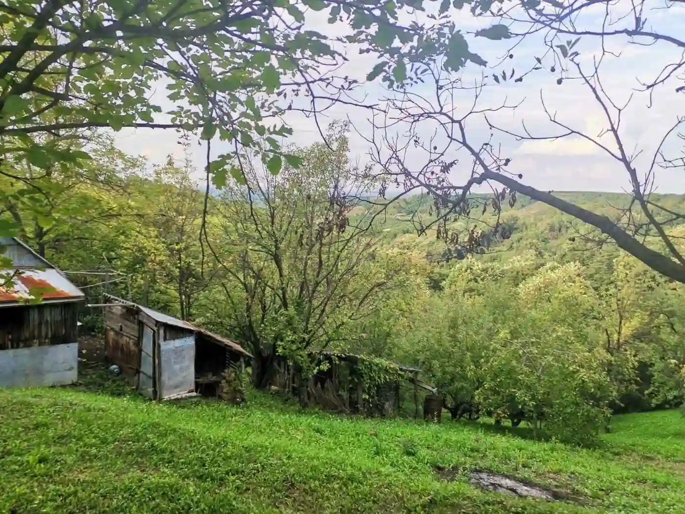 plac na prodaju Sremski Karlovci 2501m2 496508