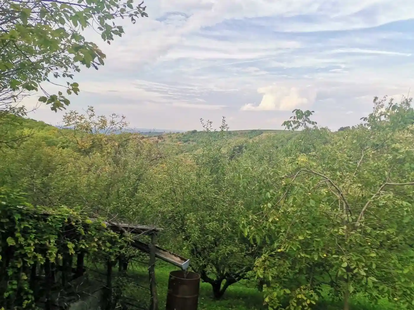 plac na prodaju Sremski Karlovci 2501m2 496508