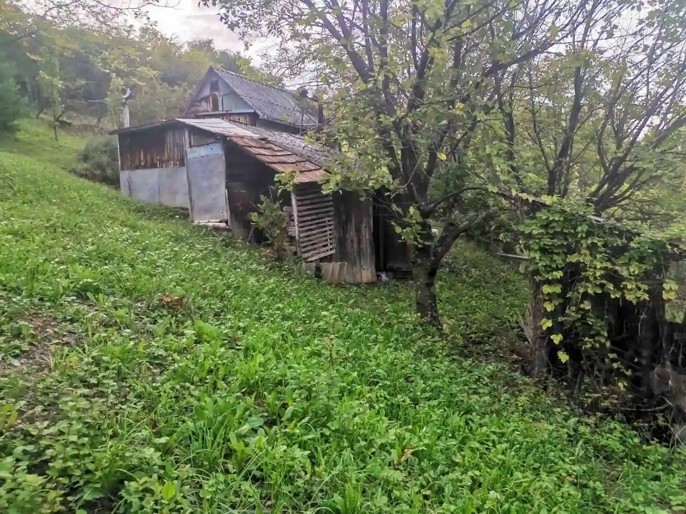 plac na prodaju Sremski Karlovci 2501m2 496508