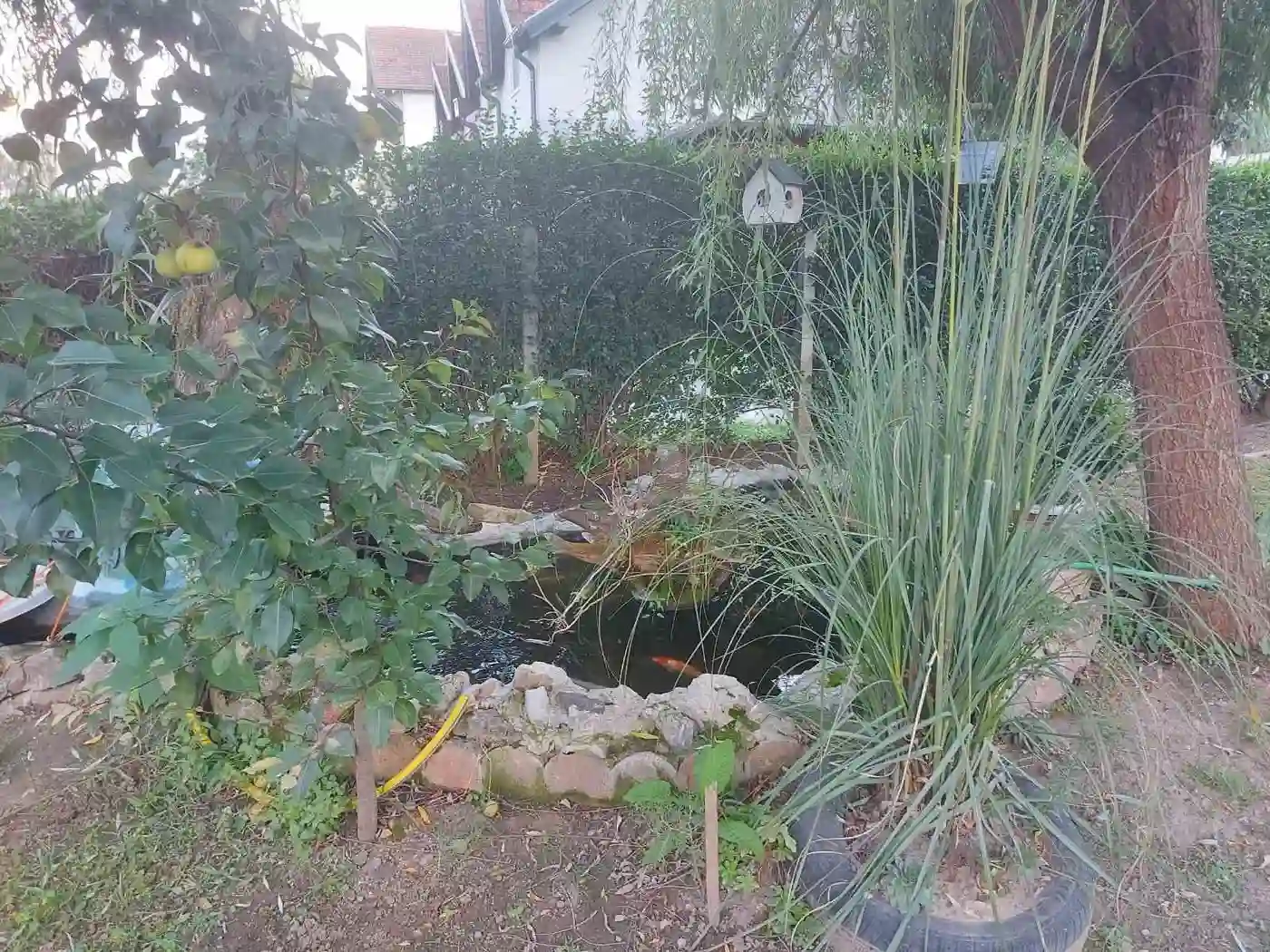 kuca na prodaju Novi Sad 280m2 496842