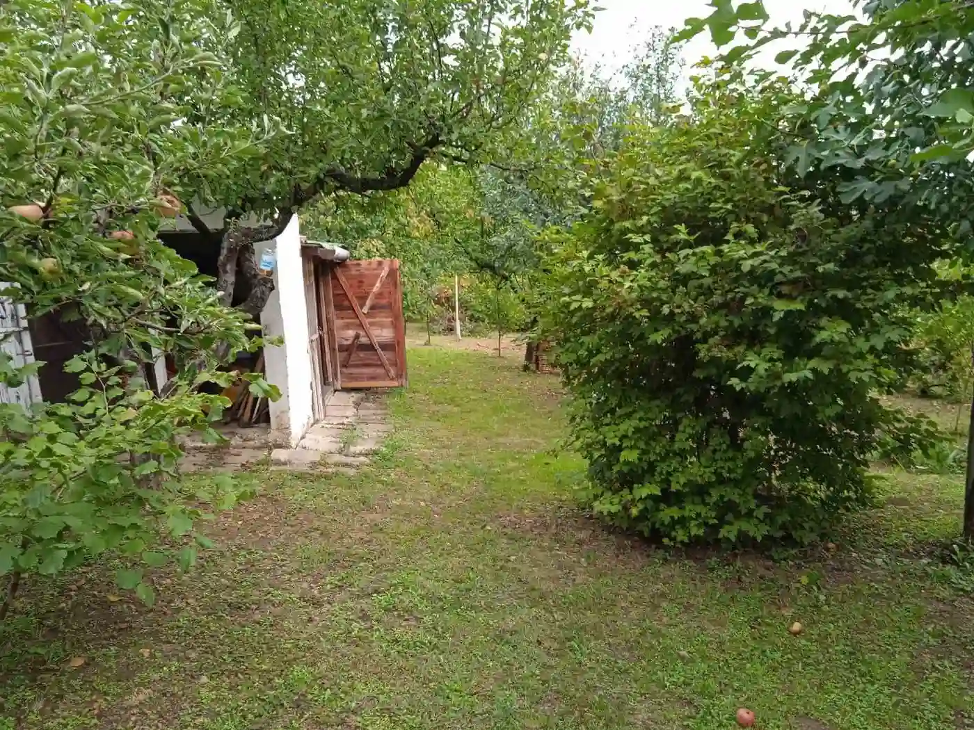 kuca na prodaju Petrovaradin 62m2 496873