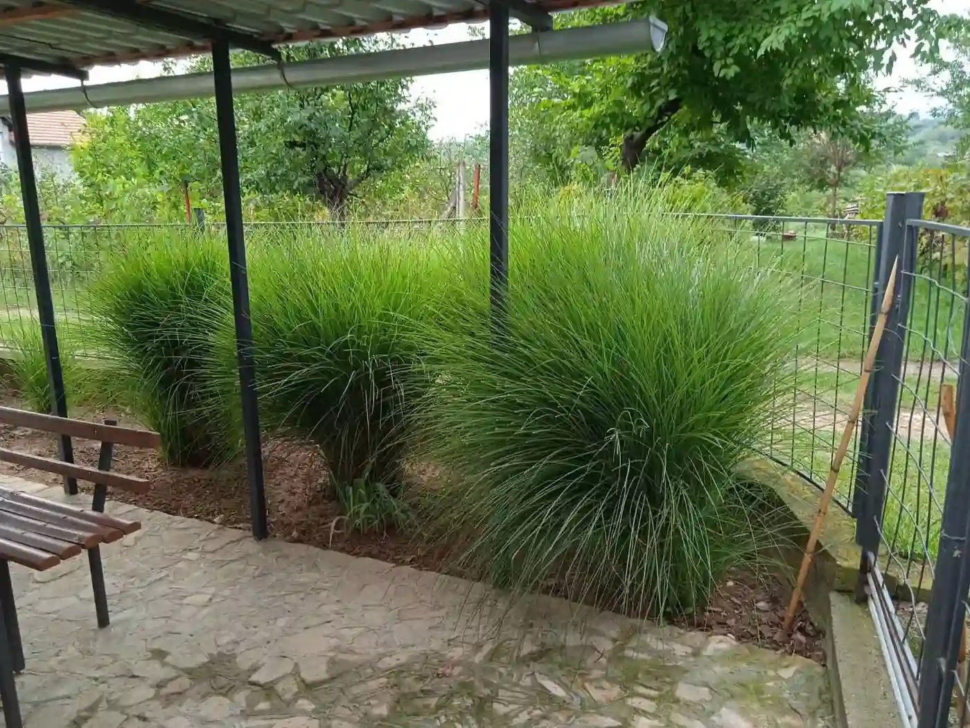 kuca na prodaju Petrovaradin 62m2 496873