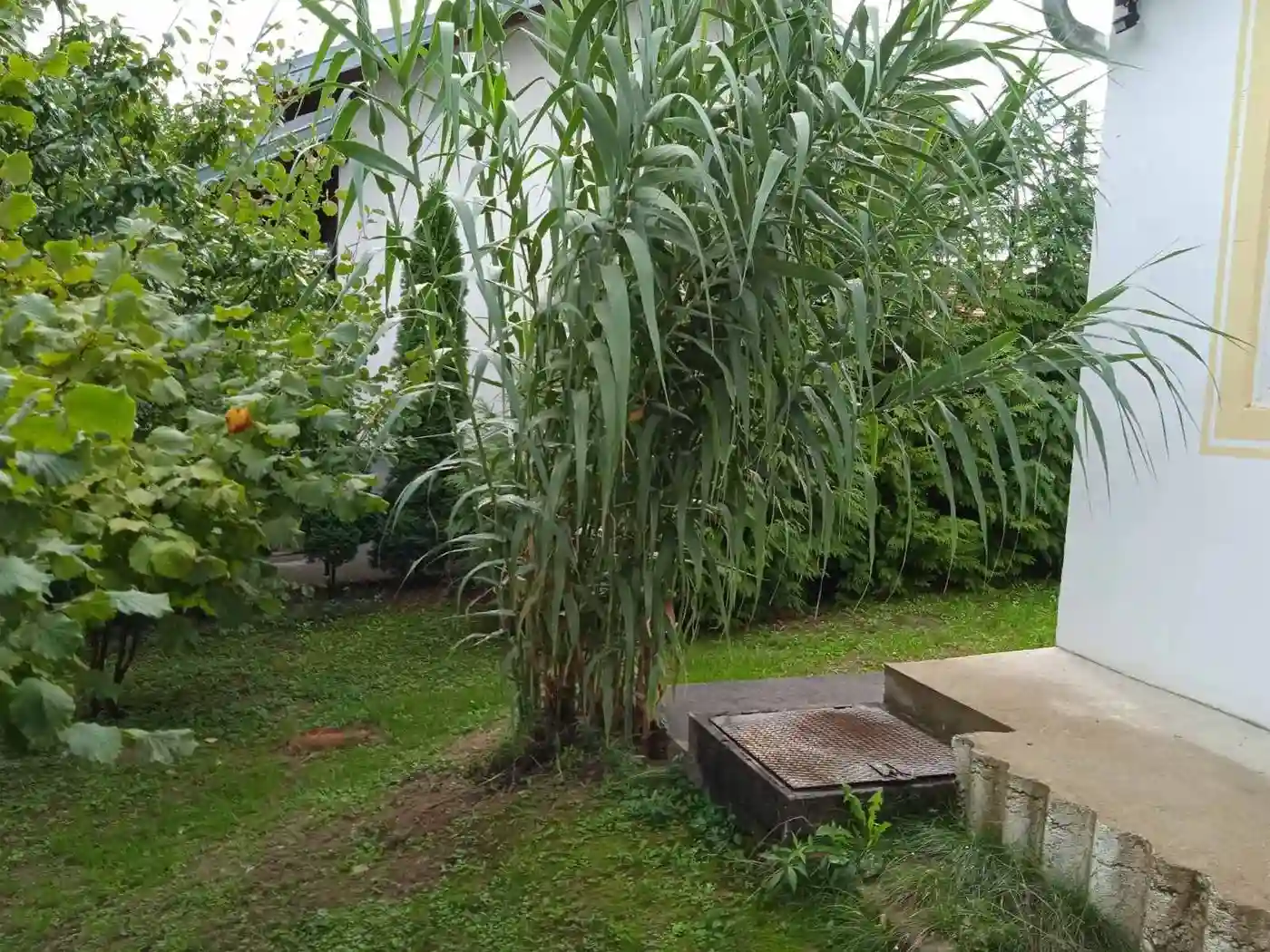 kuca na prodaju Petrovaradin 62m2 496873