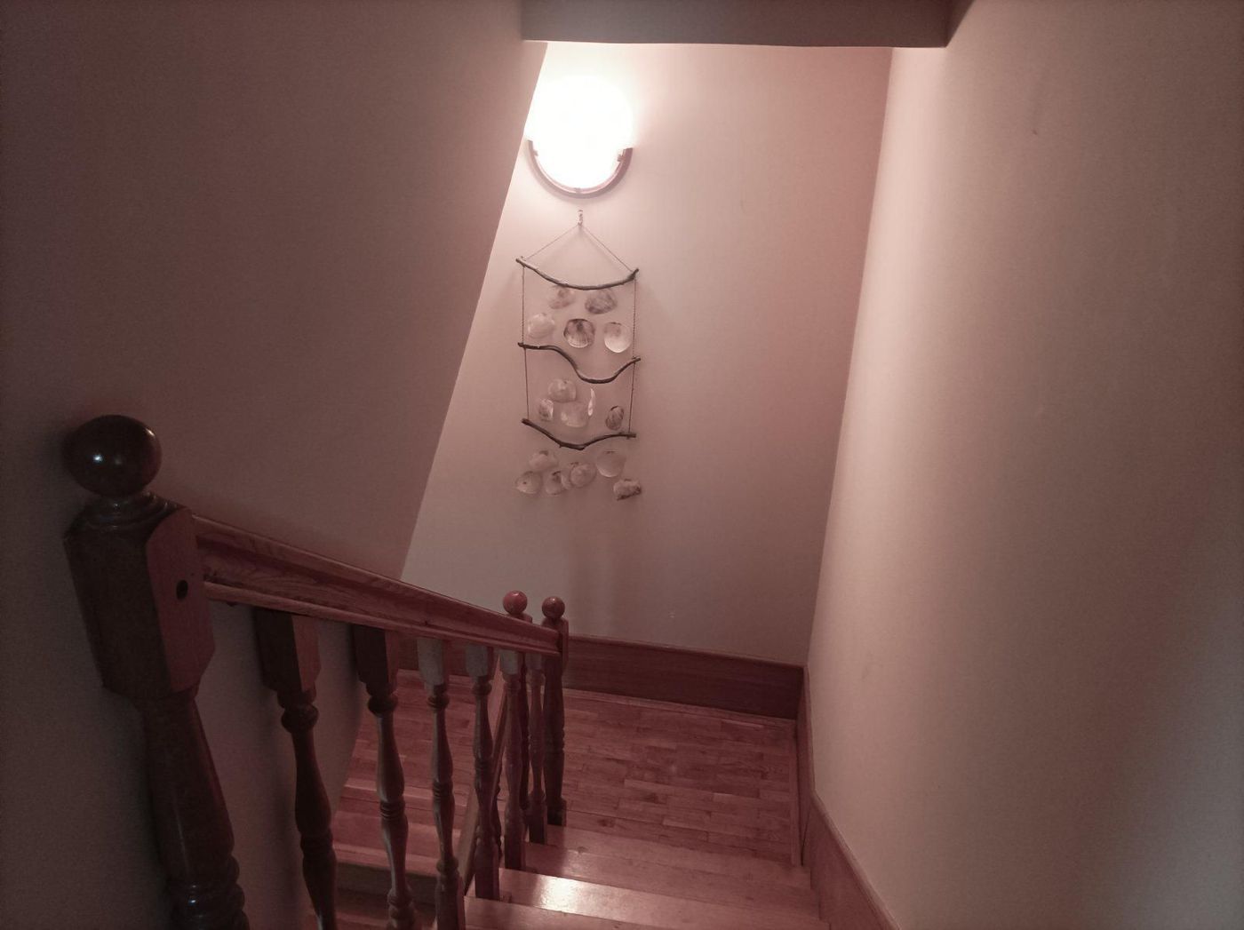 kuca na prodaju Bukovac 240m2 498425