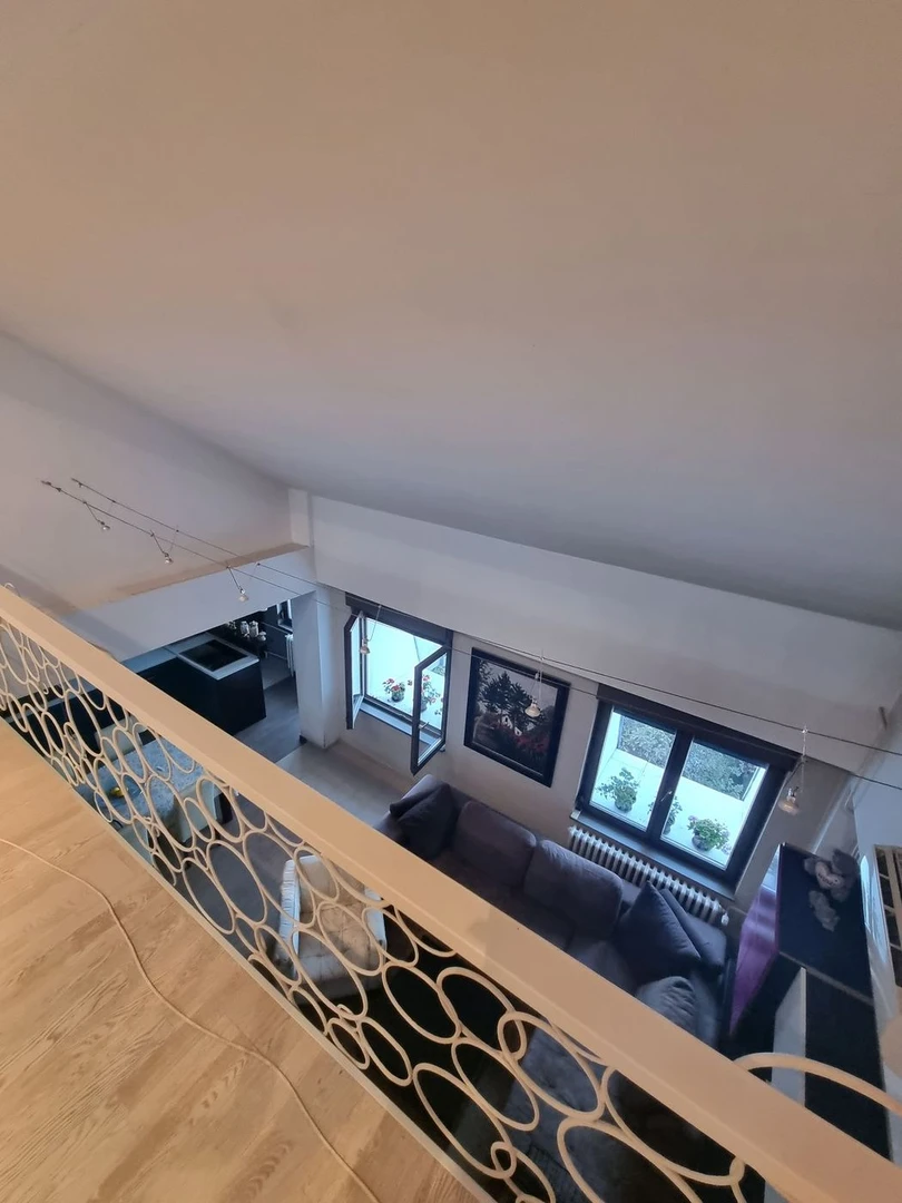 stan na prodaju Novi Sad 143m2 499872
